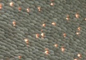 Illuminazione